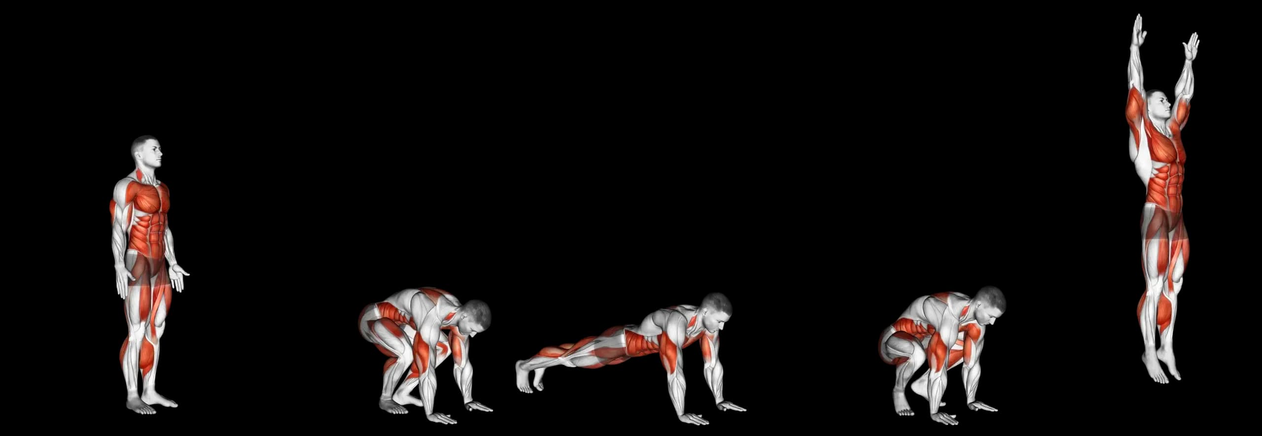 Burpee
