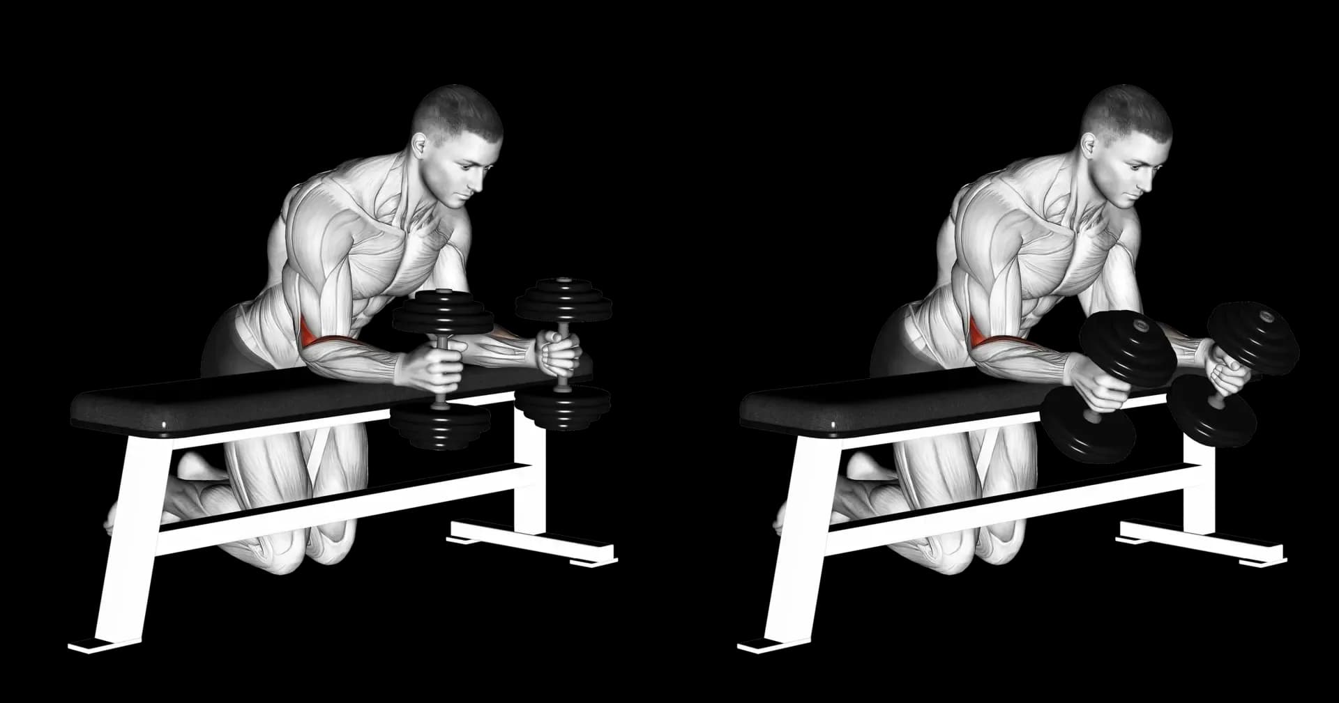 Dumbbell Neutral Grip Wrist Curl