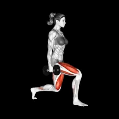 Dumbbell Lunge