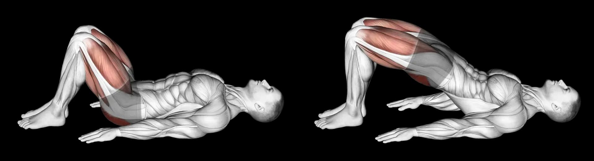Glute Bridge