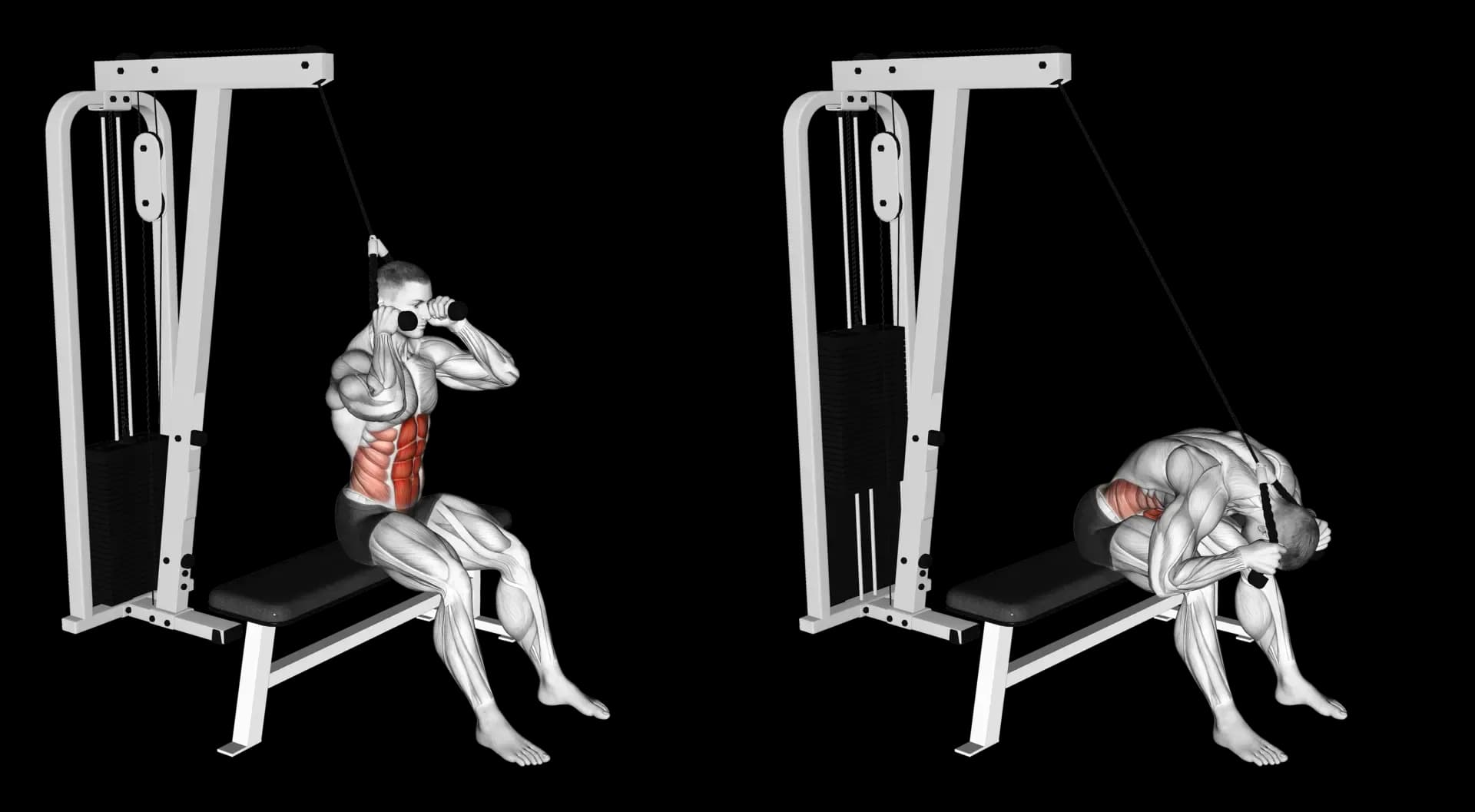 Cable Seated Crunch