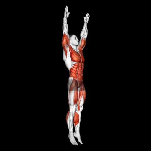 Burpee