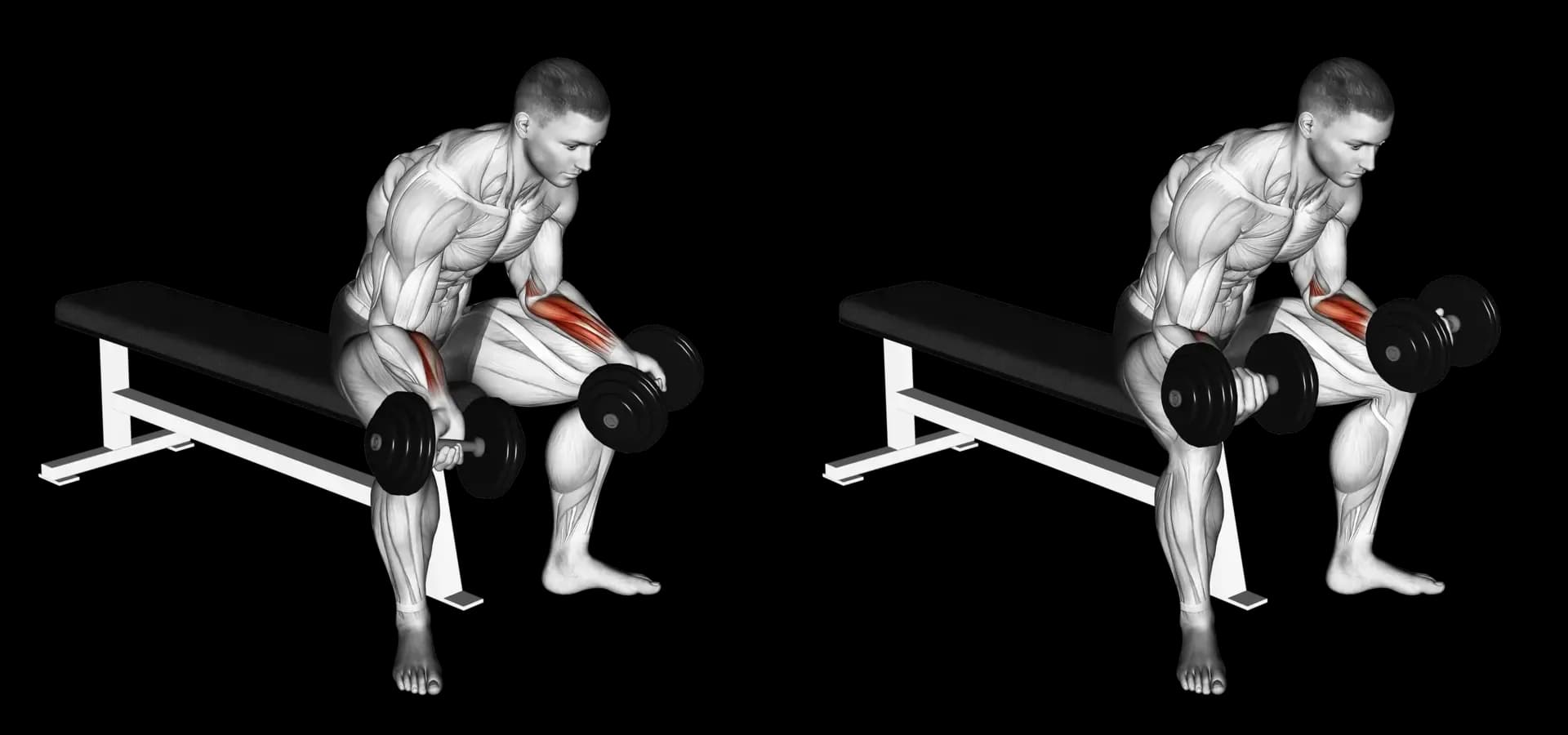 Dumbbell Palms-Up Wrist Curl