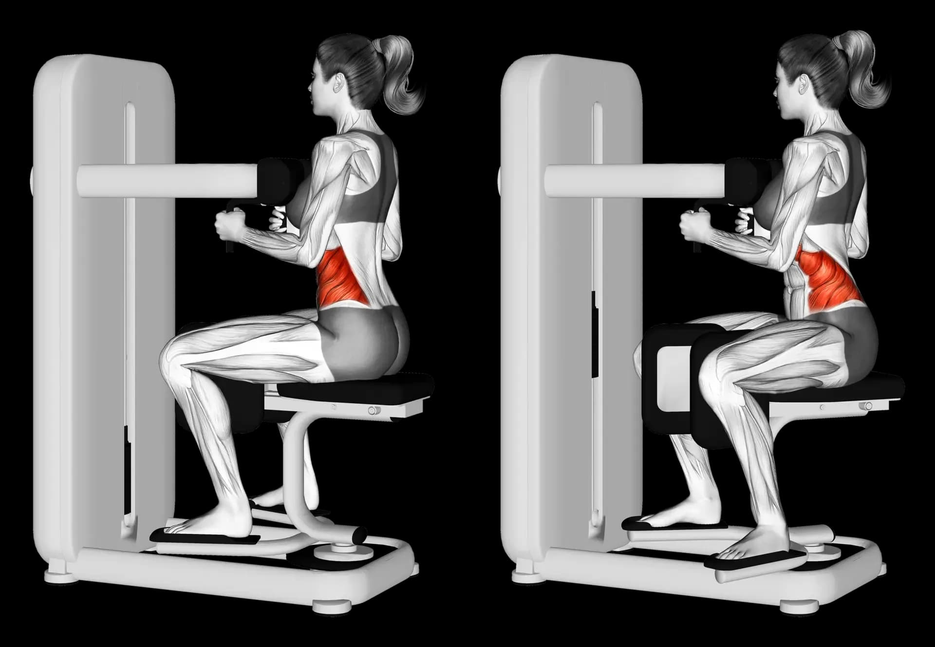 Machine Torso Rotation