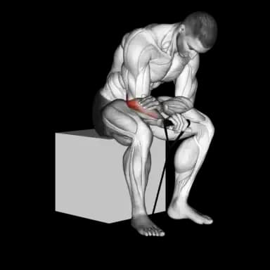 Band Palms-Down Wrist Curl