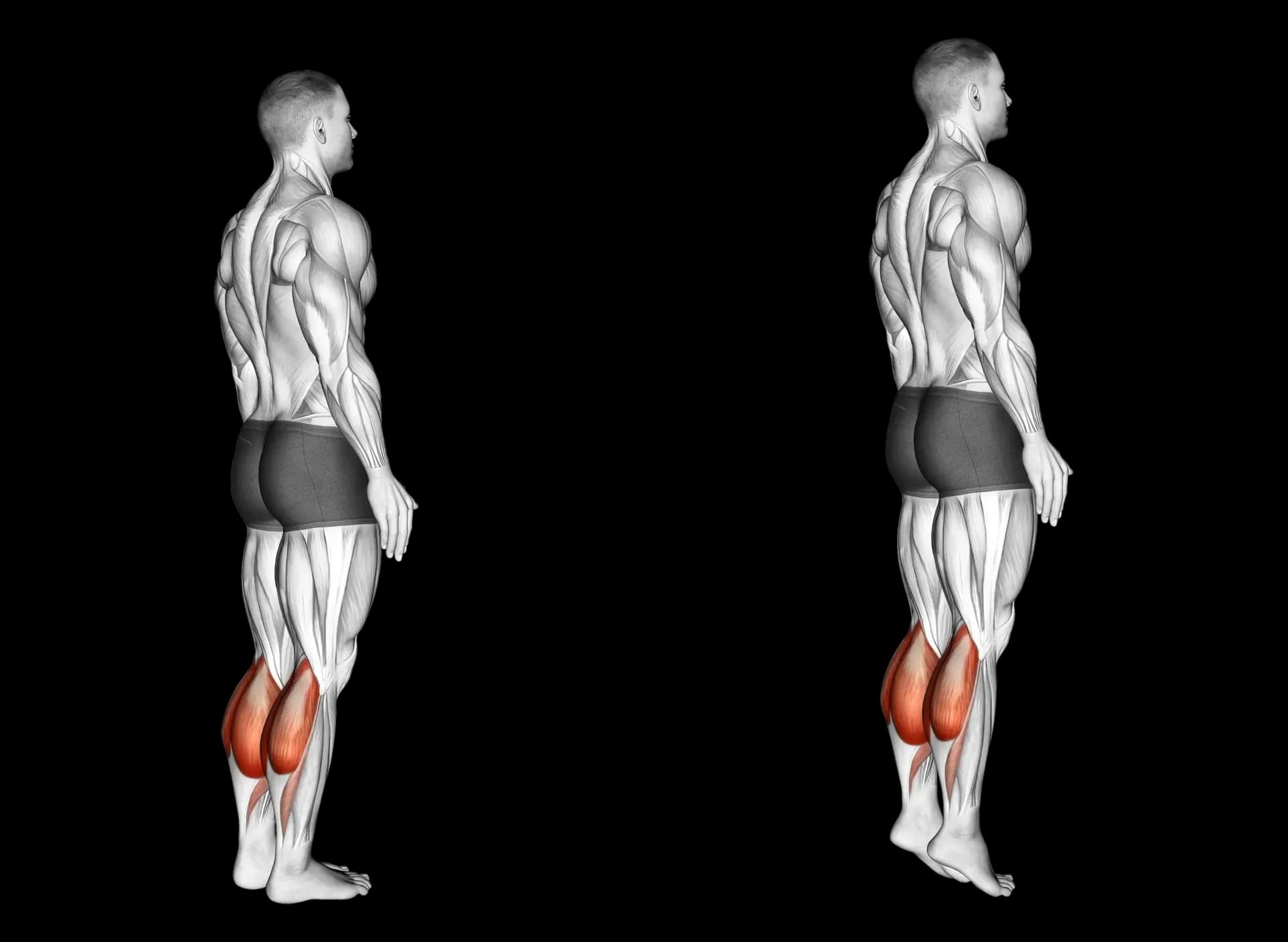 Bodyweight Calf Raise