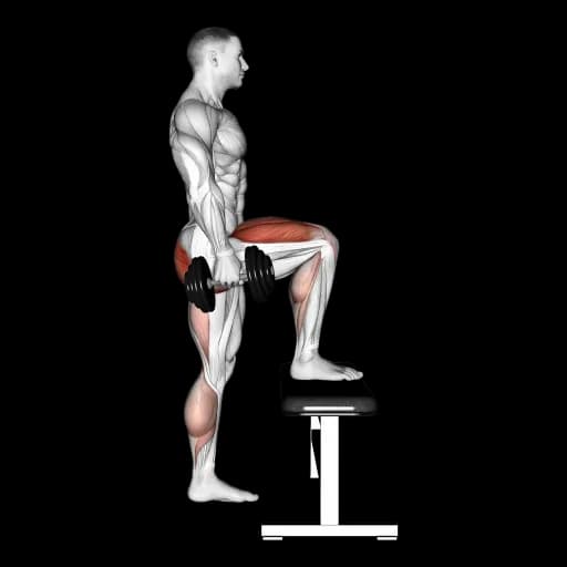 Dumbbell Step-Up