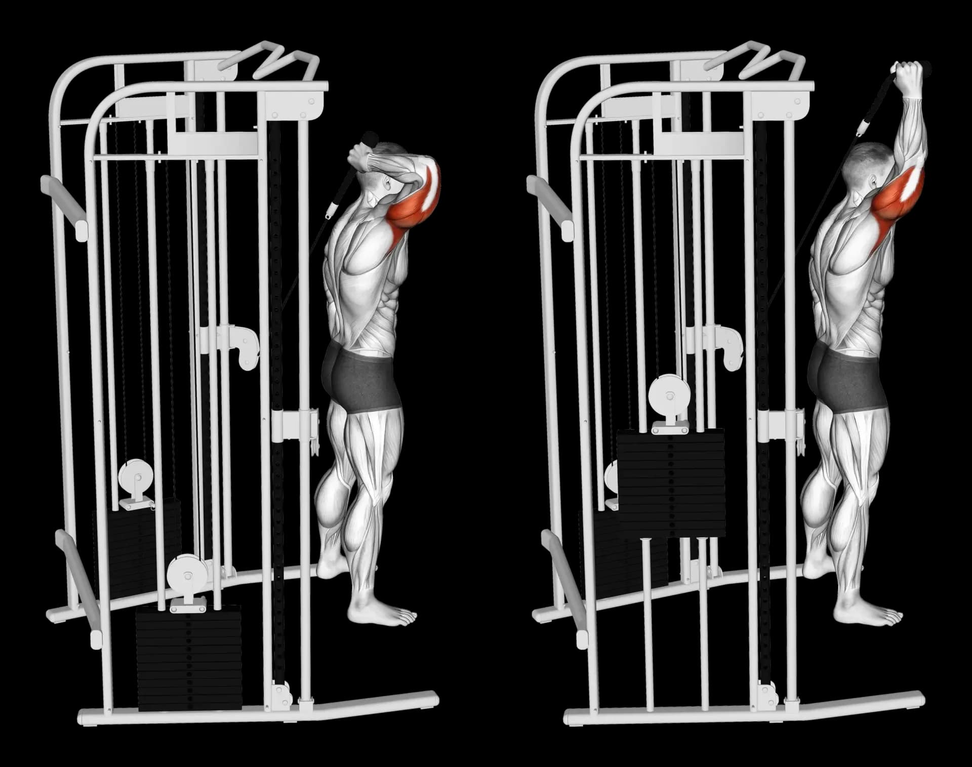 Cable Single-Arm Overhead Triceps Extension